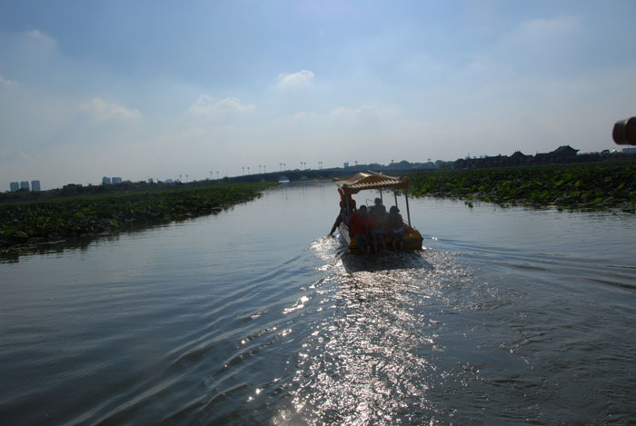 Ϧ�(y��ng)������ӭ�������ϰ�